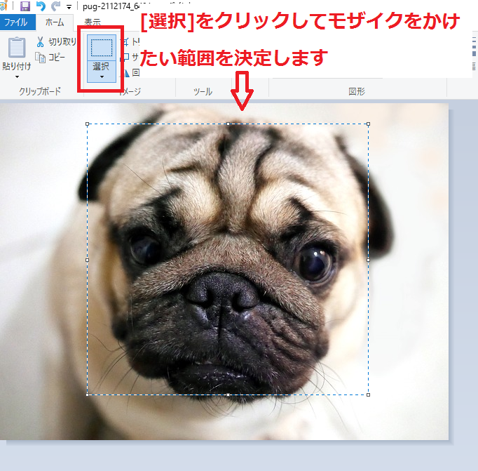 ペイントを使って画像を加工する方法